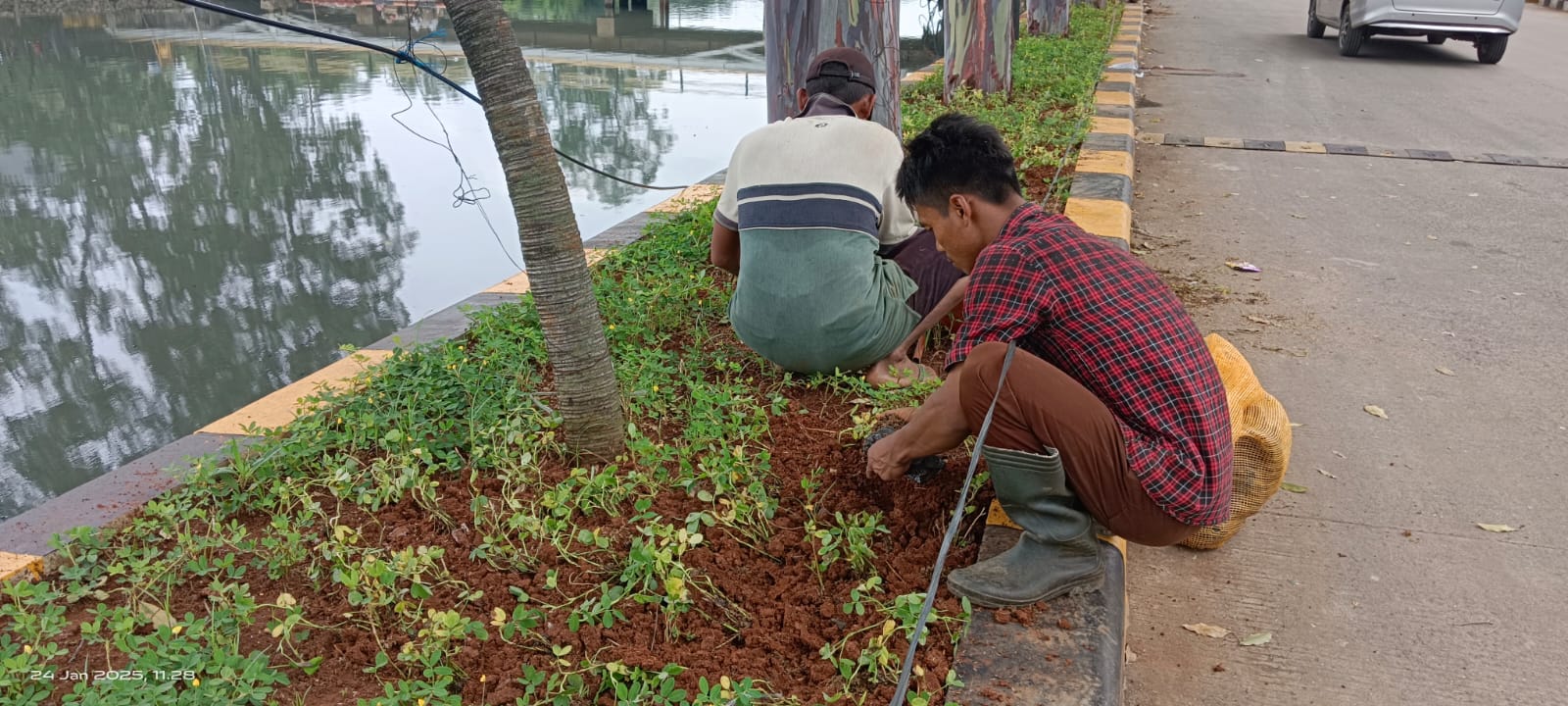 Tree Planting Program